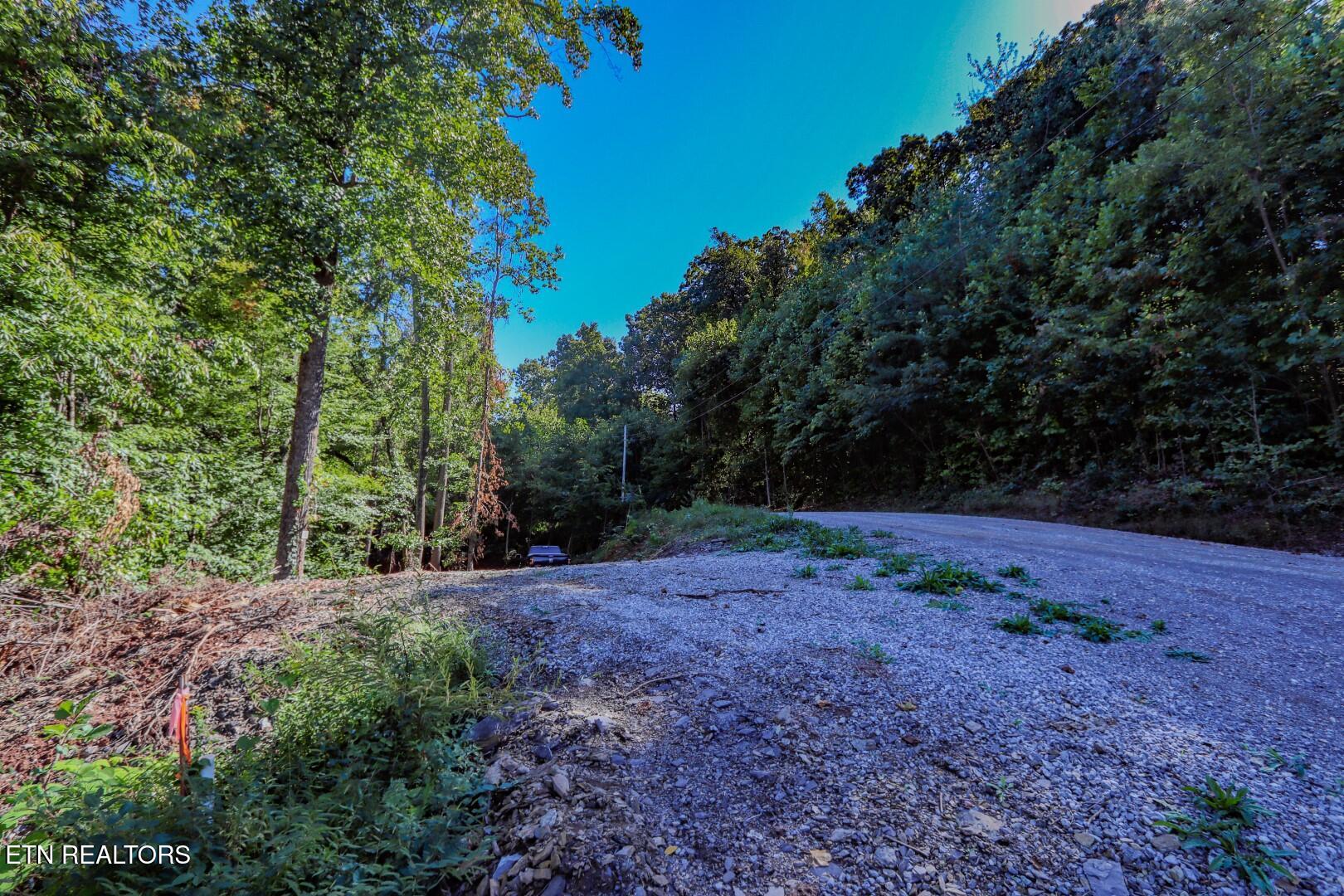 1272 Applewood Road Newport, TN 37821 - Photo 6 of 18 6