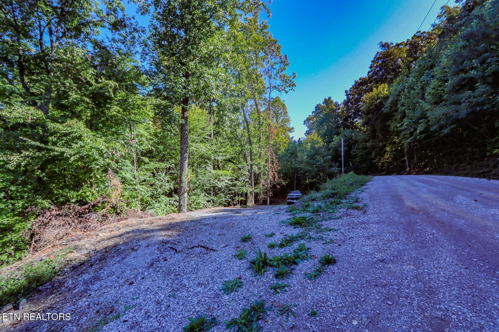 1272 Applewood Road Newport, TN 37821 - Photo 7 of 18 7