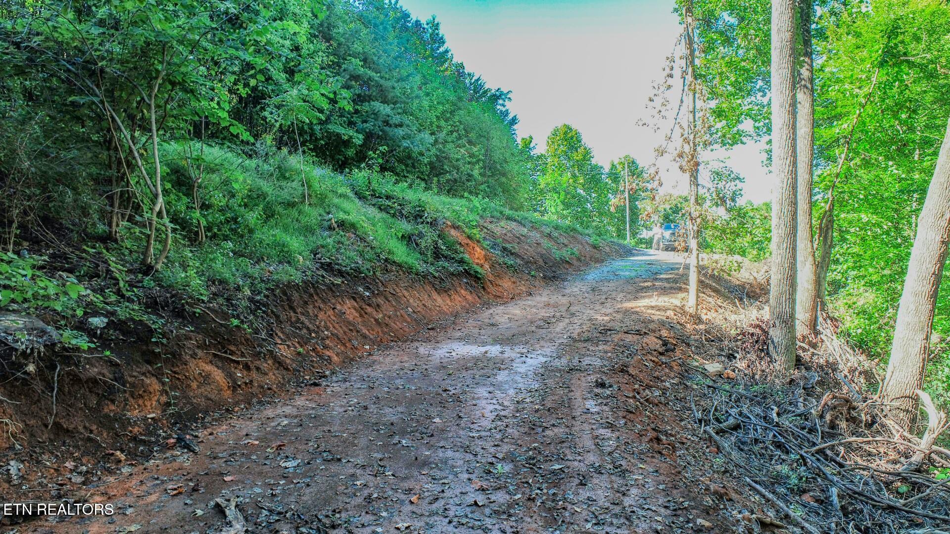 1272 Applewood Road Newport, TN 37821 - Photo 9 of 18 9