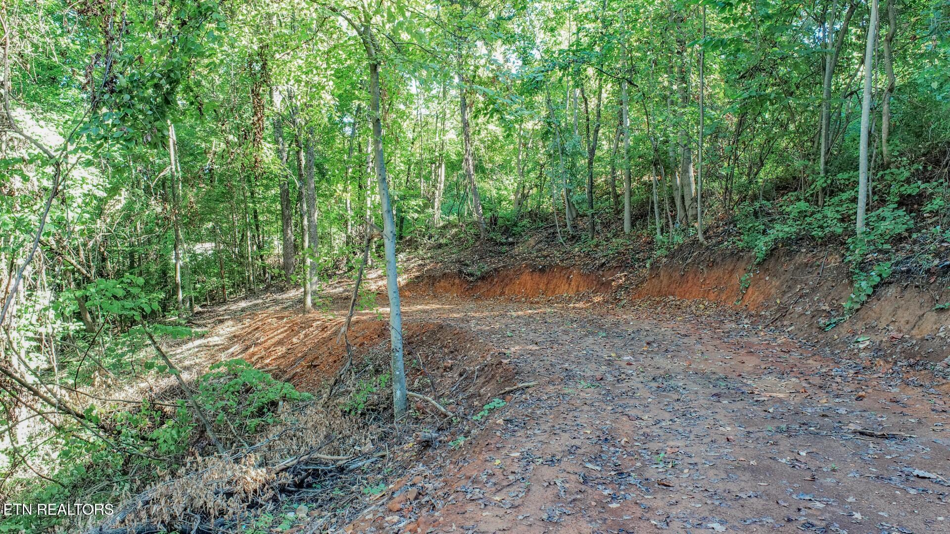 1272 Applewood Road Newport, TN 37821 - Photo 10 of 18 10