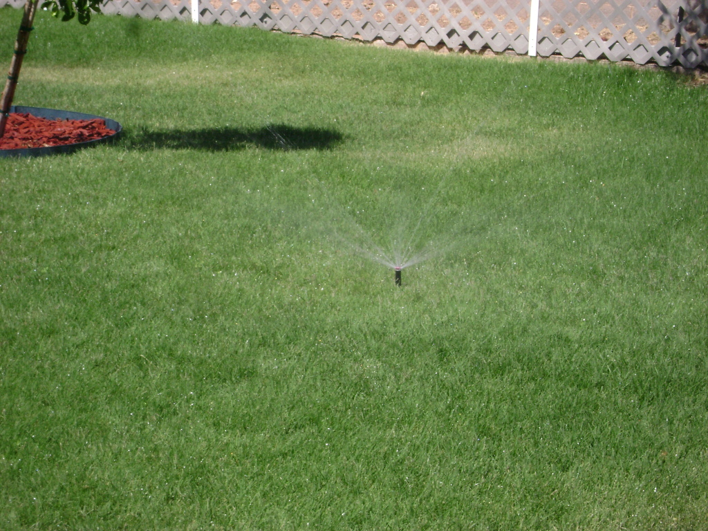 3346 North Randolph Road Phoenix, AZ 85014 - Photo 12 of 20 SPRINKLER
