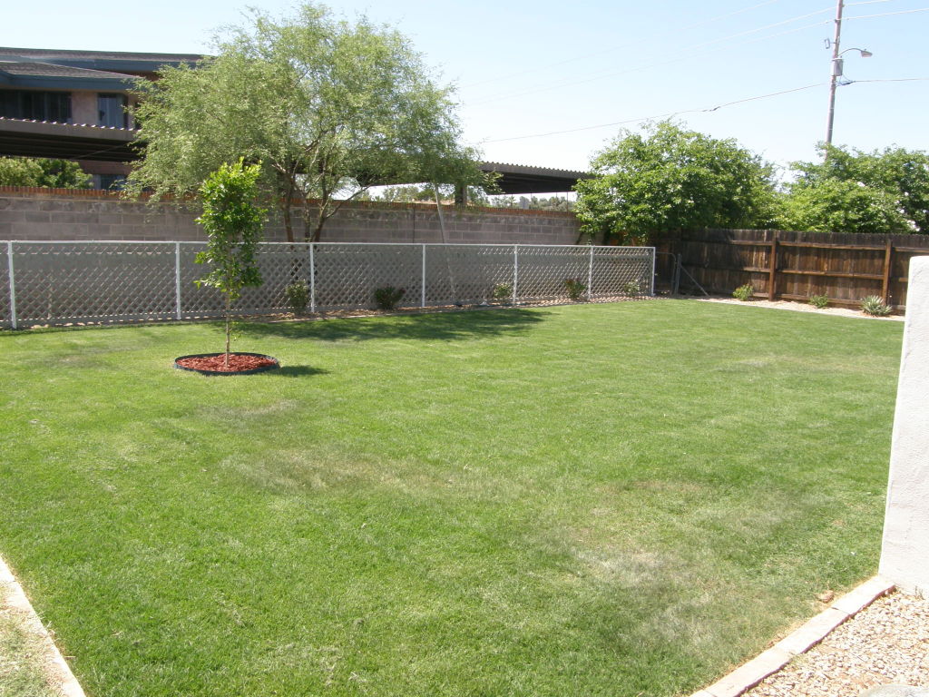 3346 North Randolph Road Phoenix, AZ 85014 - Photo 18 of 20 GREAT VIEW OF BACKYARD