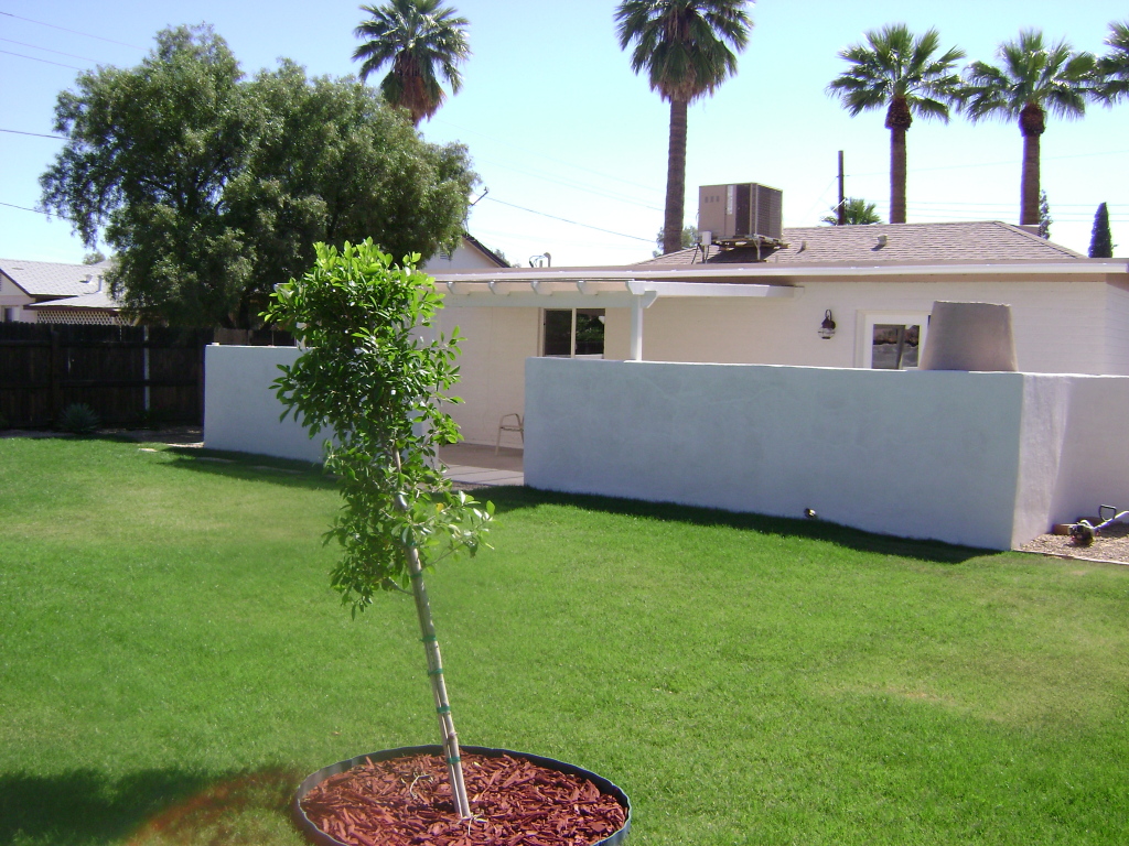 3346 North Randolph Road Phoenix, AZ 85014 - Photo 10 of 20 BACKYARD