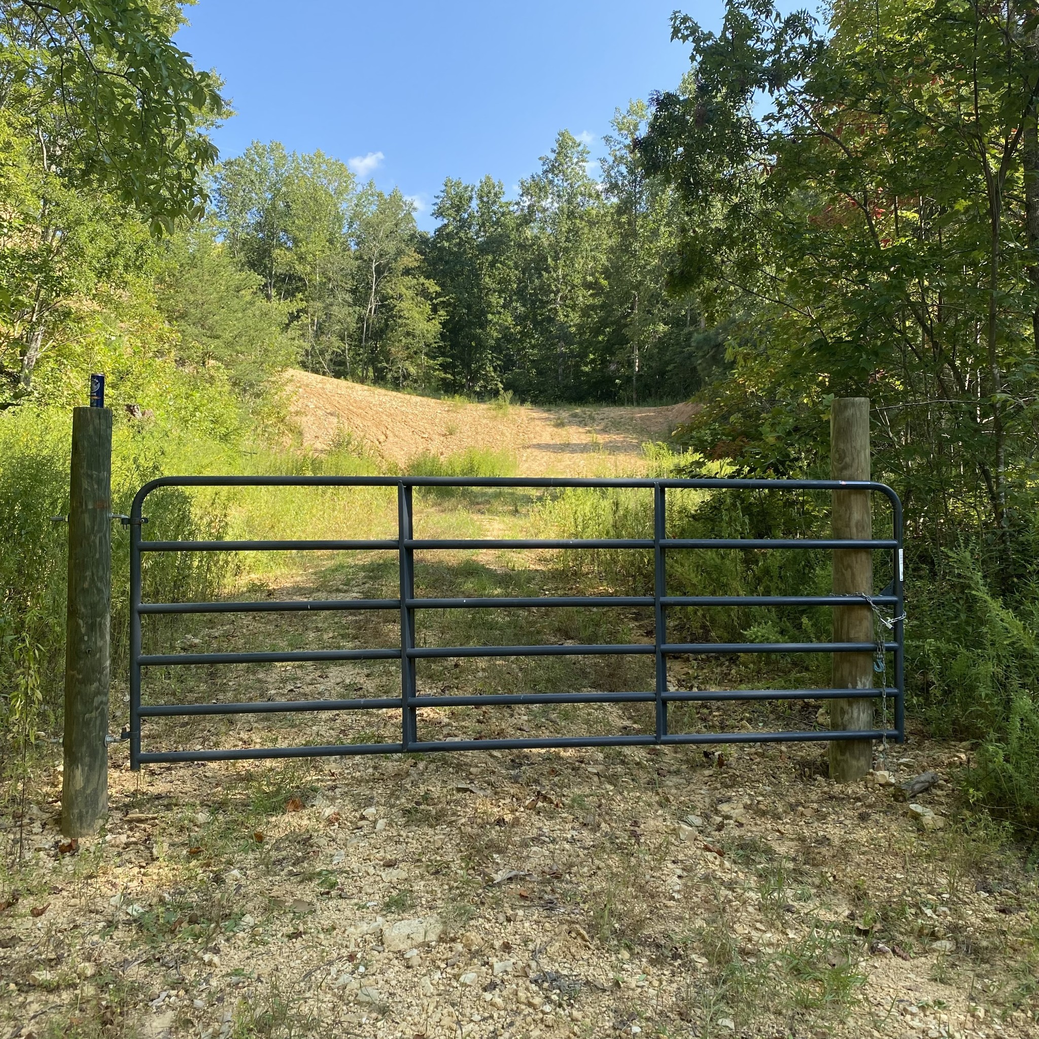 401 Napier Road Hohenwald, TN 38462 - Photo 1 of 8