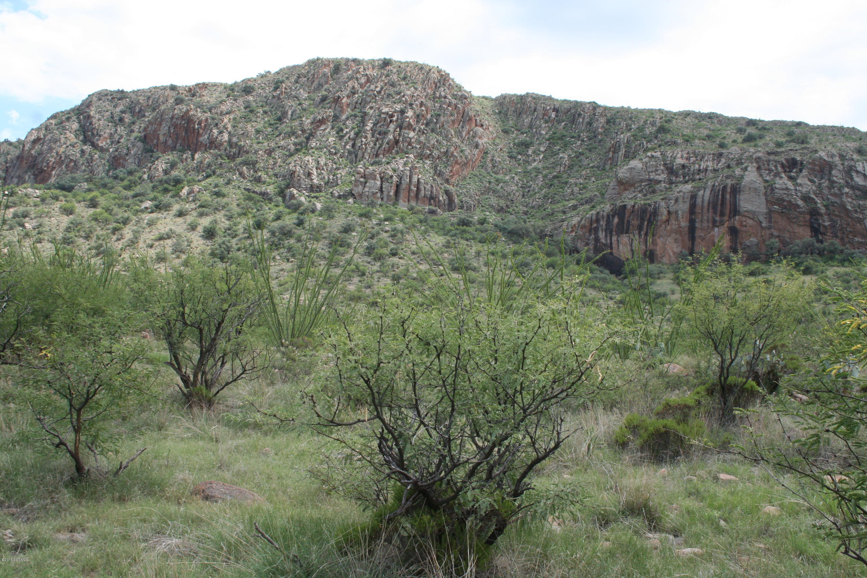 140 Tejano Springs Road Rio Rico, AZ 85648 - Photo 12 of 18 a view of a lush green field