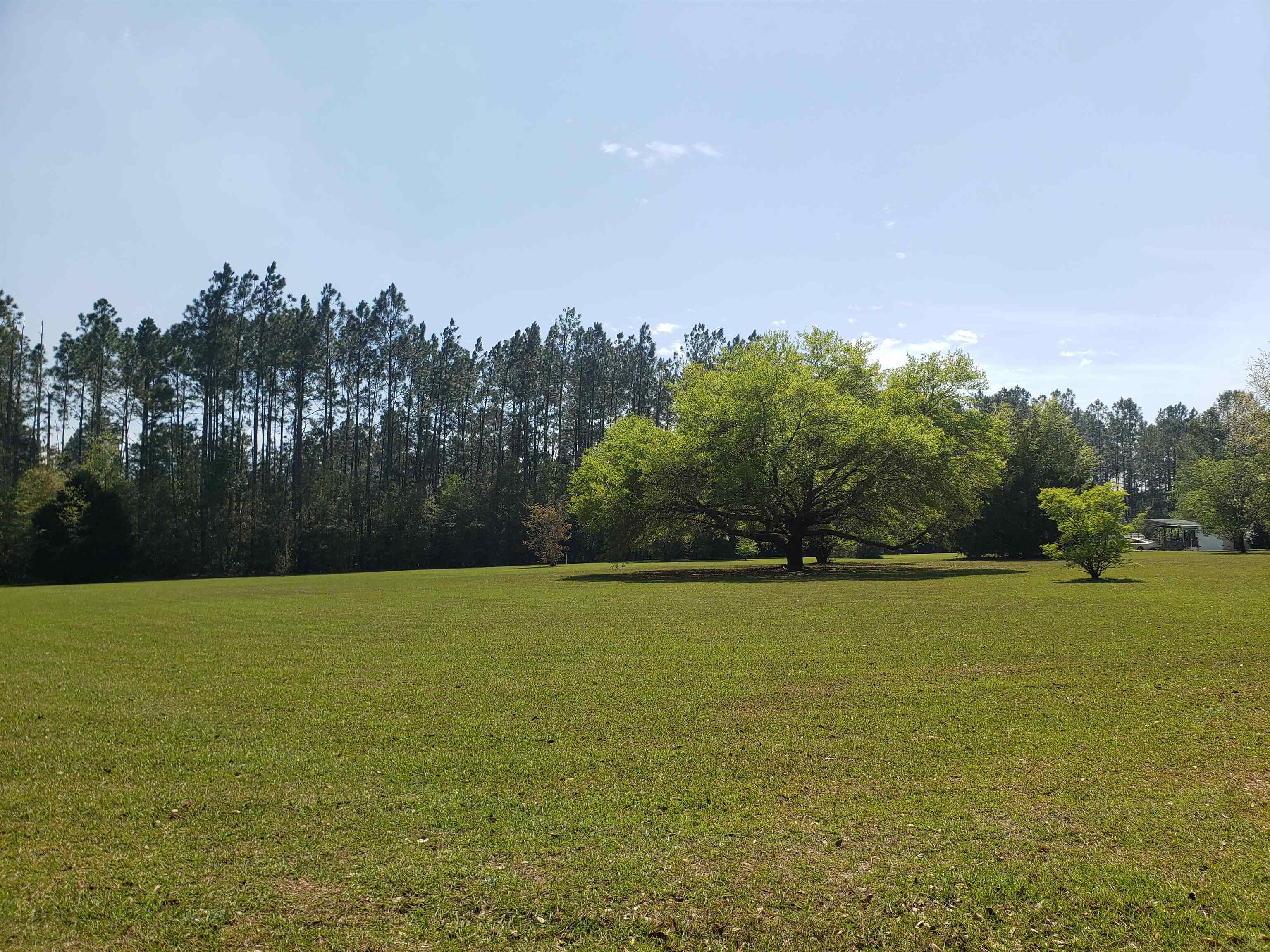 308 Magnolia Ridge Monticello, FL 32344 - Photo 2 of 2 Gallery Image 2