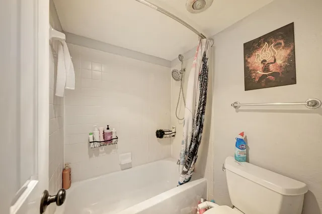 a bathroom with a shower and a toilet