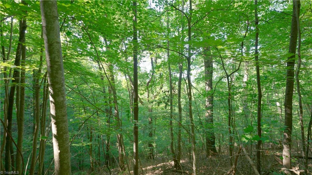 1199 Drag Strip Road Hudson, NC 28638 - Photo 15 of 45 Gallery Image 15