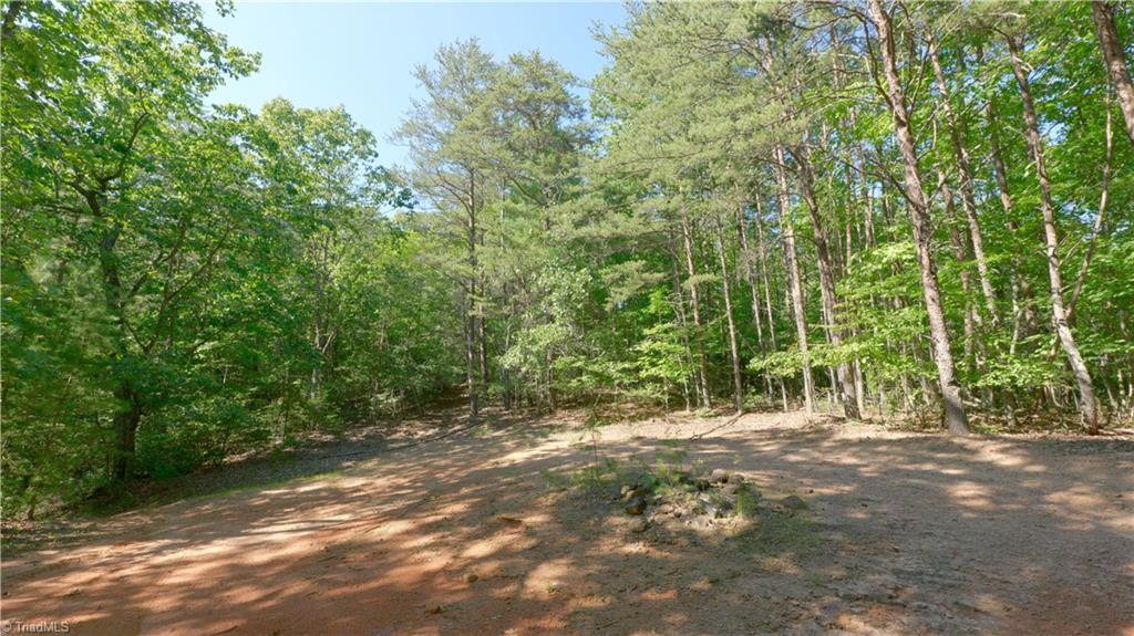 1199 Drag Strip Road Hudson, NC 28638 - Photo 16 of 45 Gallery Image 16