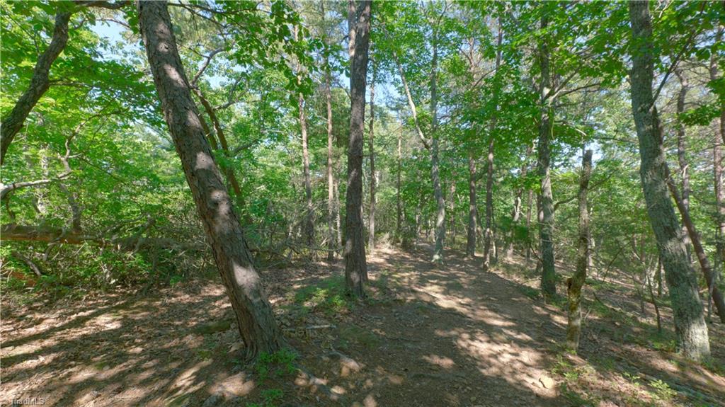 1199 Drag Strip Road Hudson, NC 28638 - Photo 17 of 45 Gallery Image 17