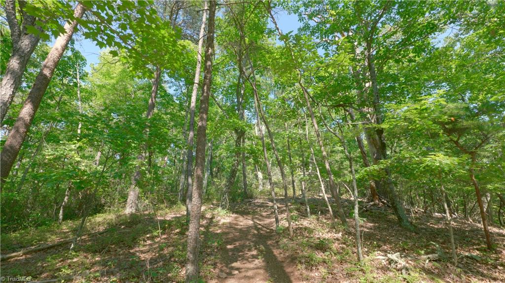 1199 Drag Strip Road Hudson, NC 28638 - Photo 18 of 45 Gallery Image 18