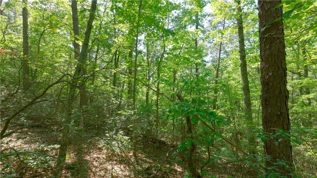 1199 Drag Strip Road Hudson, NC 28638 - Photo 19 of 45 Gallery Image 19