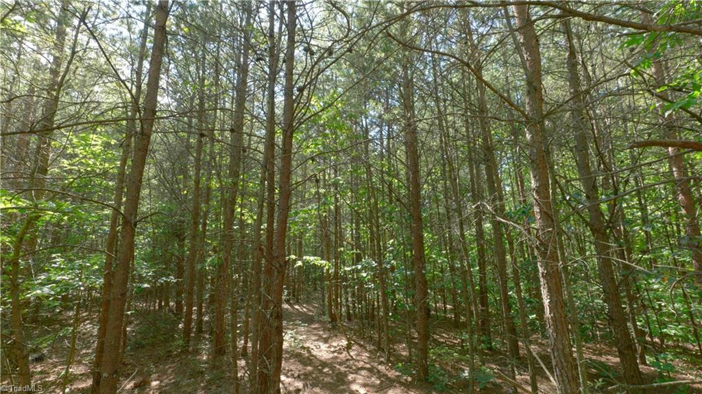 1199 Drag Strip Road Hudson, NC 28638 - Photo 20 of 45 Gallery Image 20