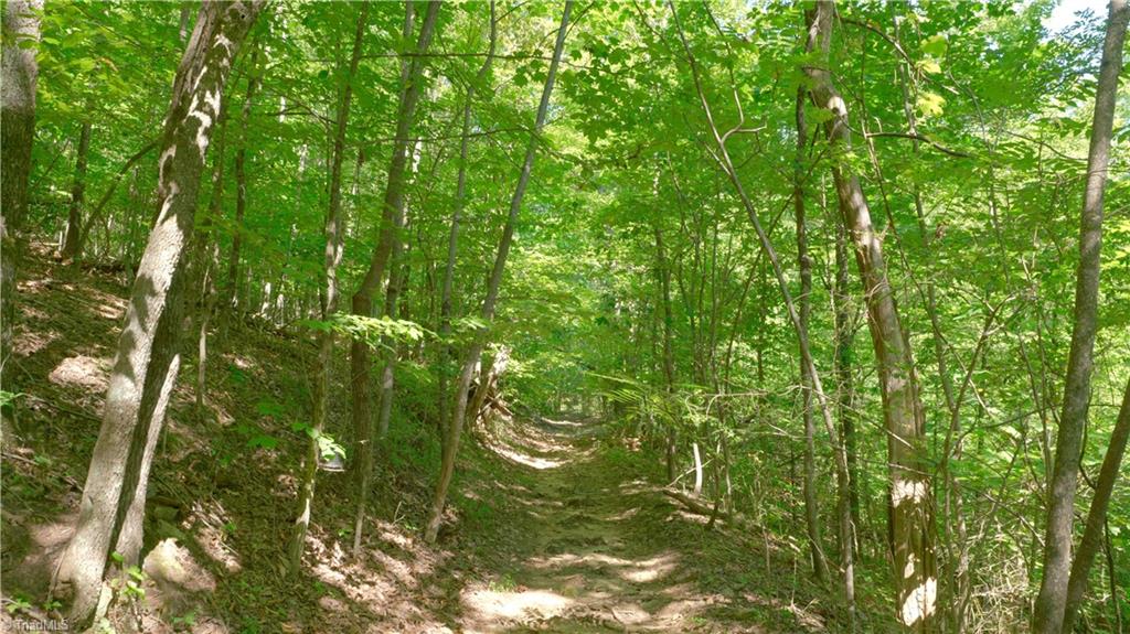 1199 Drag Strip Road Hudson, NC 28638 - Photo 21 of 45 Gallery Image 21