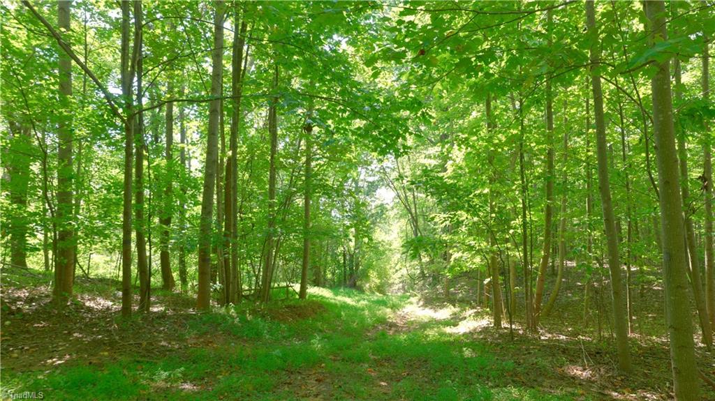 1199 Drag Strip Road Hudson, NC 28638 - Photo 27 of 45 Gallery Image 27