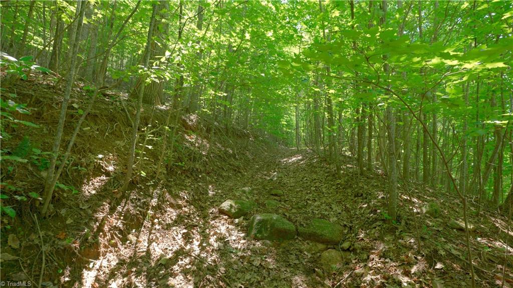 1199 Drag Strip Road Hudson, NC 28638 - Photo 30 of 45 Gallery Image 30