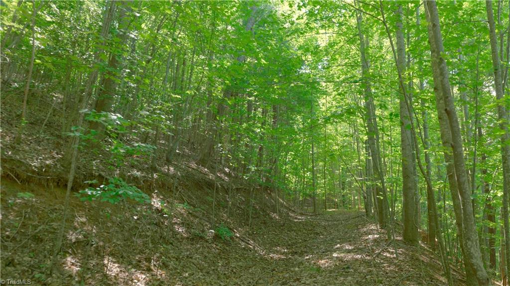 1199 Drag Strip Road Hudson, NC 28638 - Photo 31 of 45 Gallery Image 31