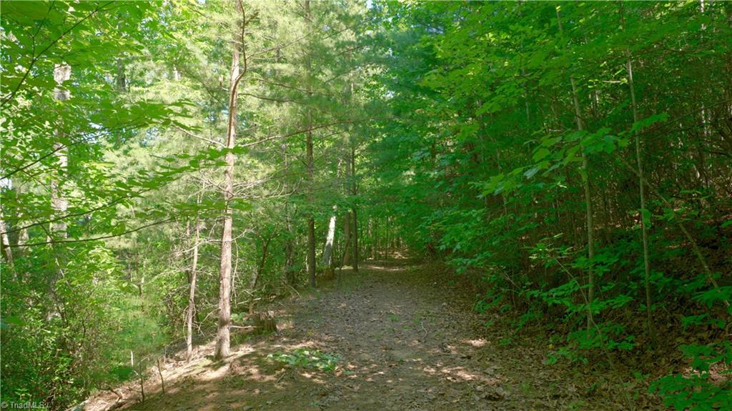 1199 Drag Strip Road Hudson, NC 28638 - Photo 34 of 45 Gallery Image 34