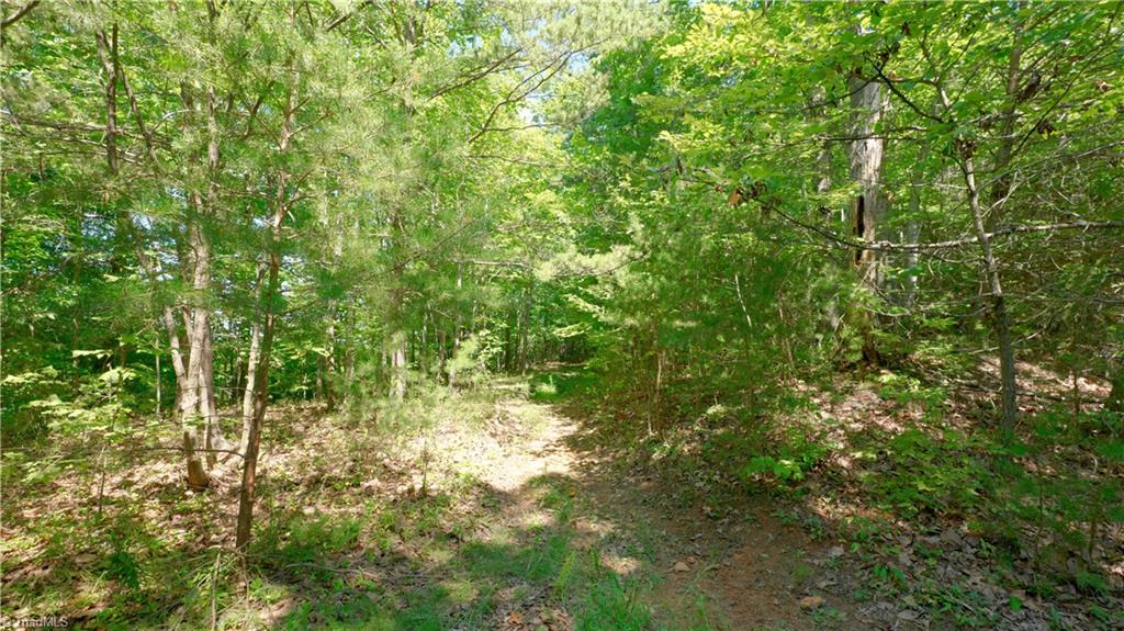 1199 Drag Strip Road Hudson, NC 28638 - Photo 35 of 45 Gallery Image 35