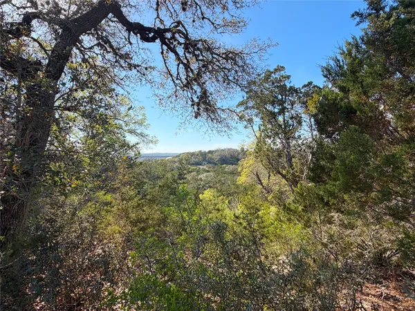 a view of a tree in a yard
