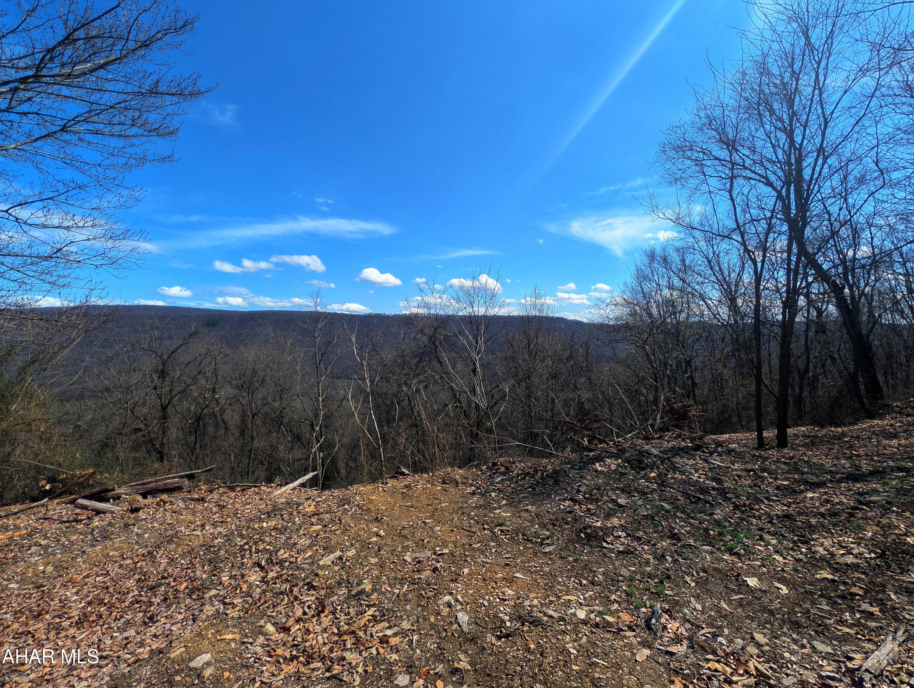 0 Pine Ridge Road Saxton, PA 16678 - Photo 12 of 23