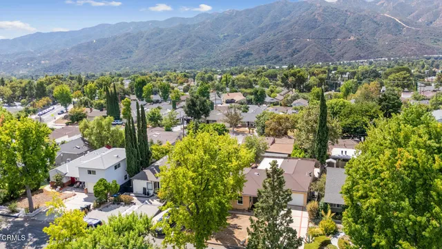 a view of a bunch of flowers