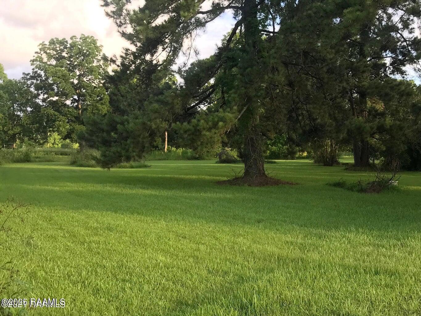 0 Wilson St Julian Road Broussard, LA 70518 - Photo 3 of 6 Wilson St Julian 1