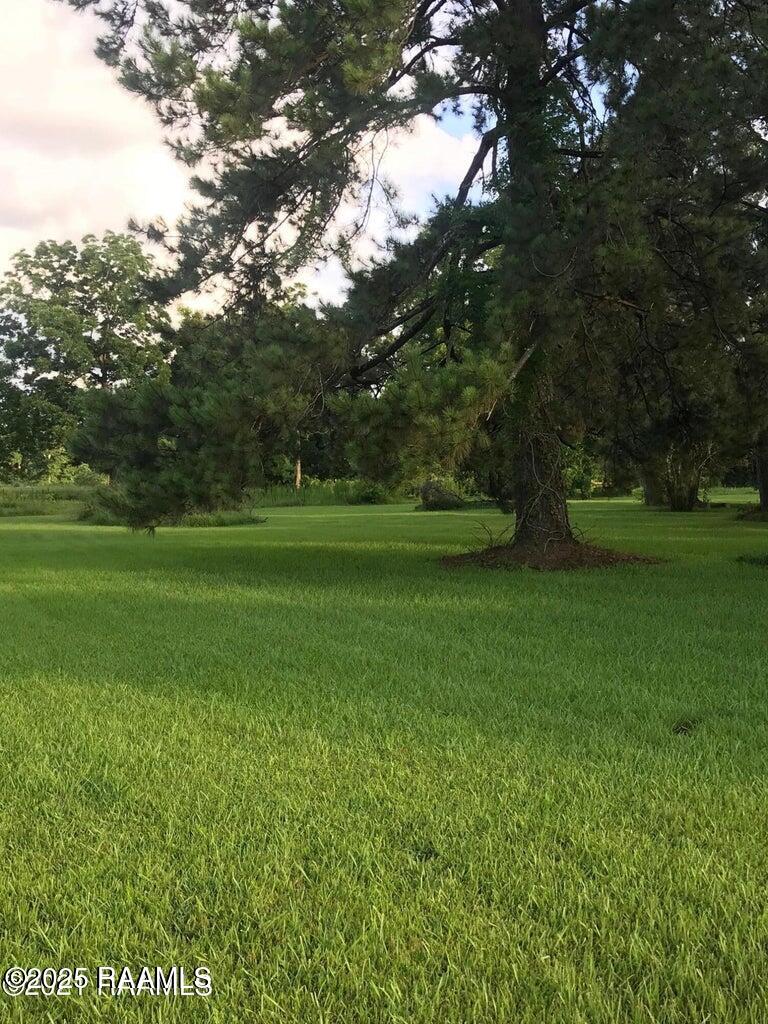 0 Wilson St Julian Road Broussard, LA 70518 - Photo 4 of 6 Wilson St Julian 3