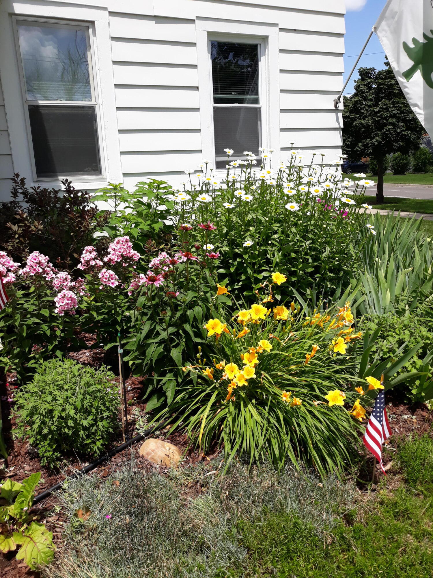 330 5th Avenue Three Rivers, MI 49093 - Photo 40 of 41 20210702_142112