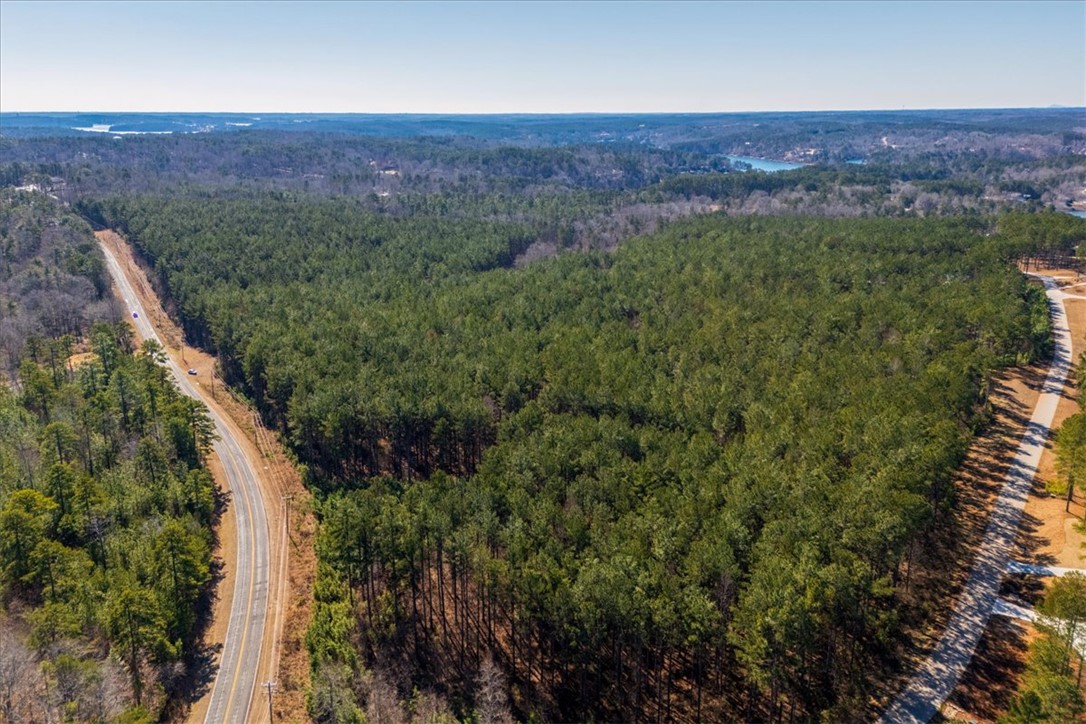 Lot 68 Nimmons Bridge Road Salem, SC 29676 - Photo 11 of 18 Expansive acreage offering a serene escape, perfect for creating a private retreat with lake views.