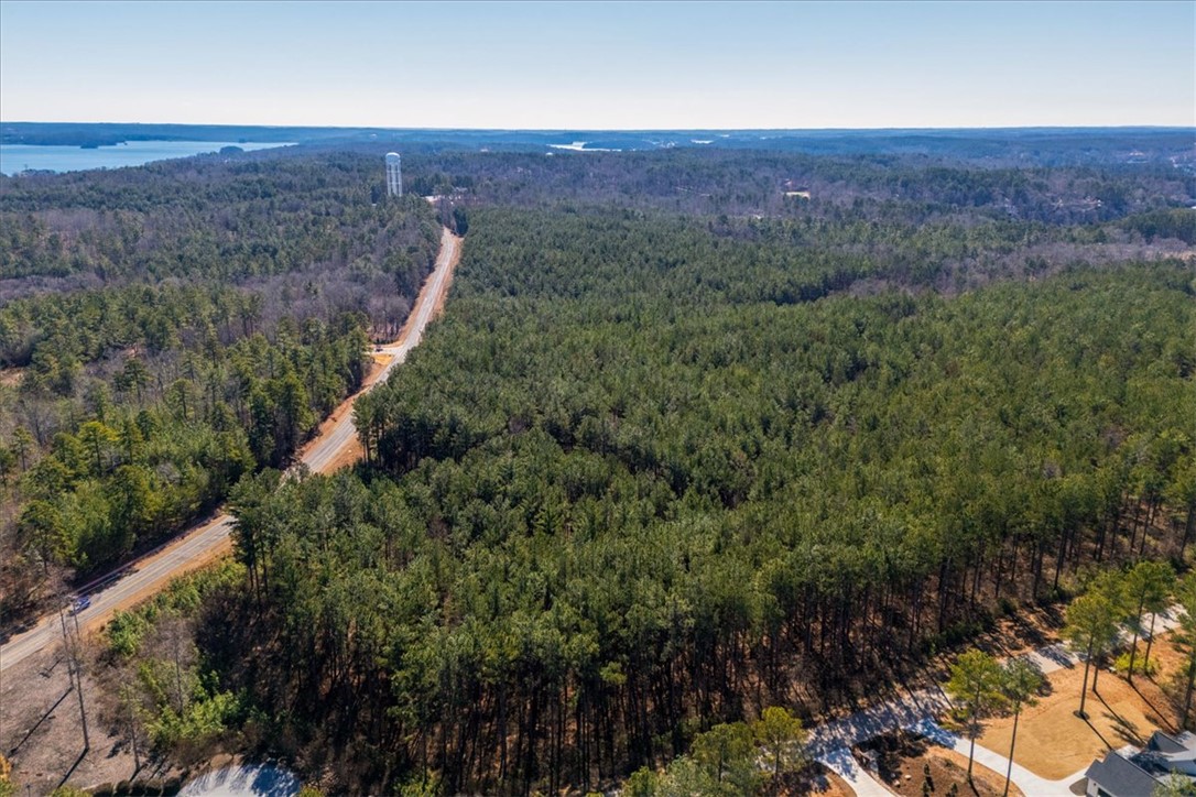 Lot 68 Nimmons Bridge Road Salem, SC 29676 - Photo 12 of 18 Expansive woodland property with vast trees, offering serene natural beauty.
