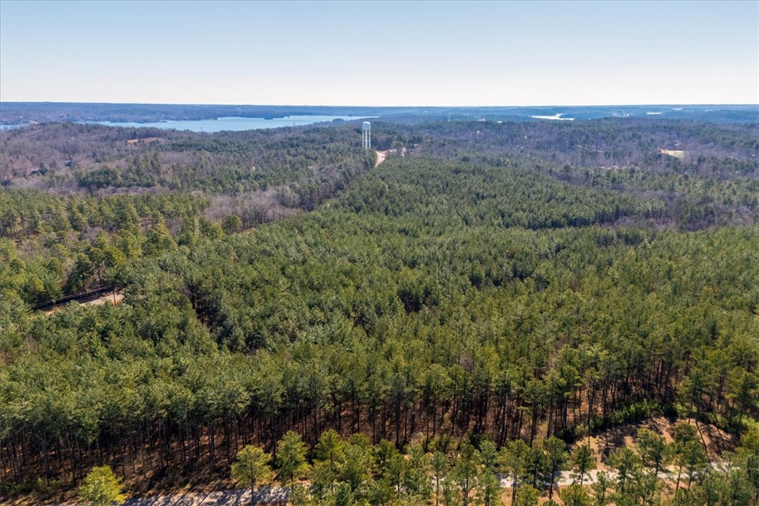 Lot 68 Nimmons Bridge Road Salem, SC 29676 - Photo 13 of 18 Vast, verdant landscape offering tranquil views, with distant water and a prominent water tower.