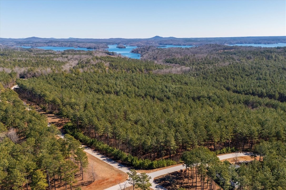 Lot 68 Nimmons Bridge Road Salem, SC 29676 - Photo 14 of 18 This elevated view captures the extensive forested landscape with serene lake vistas in the distance.