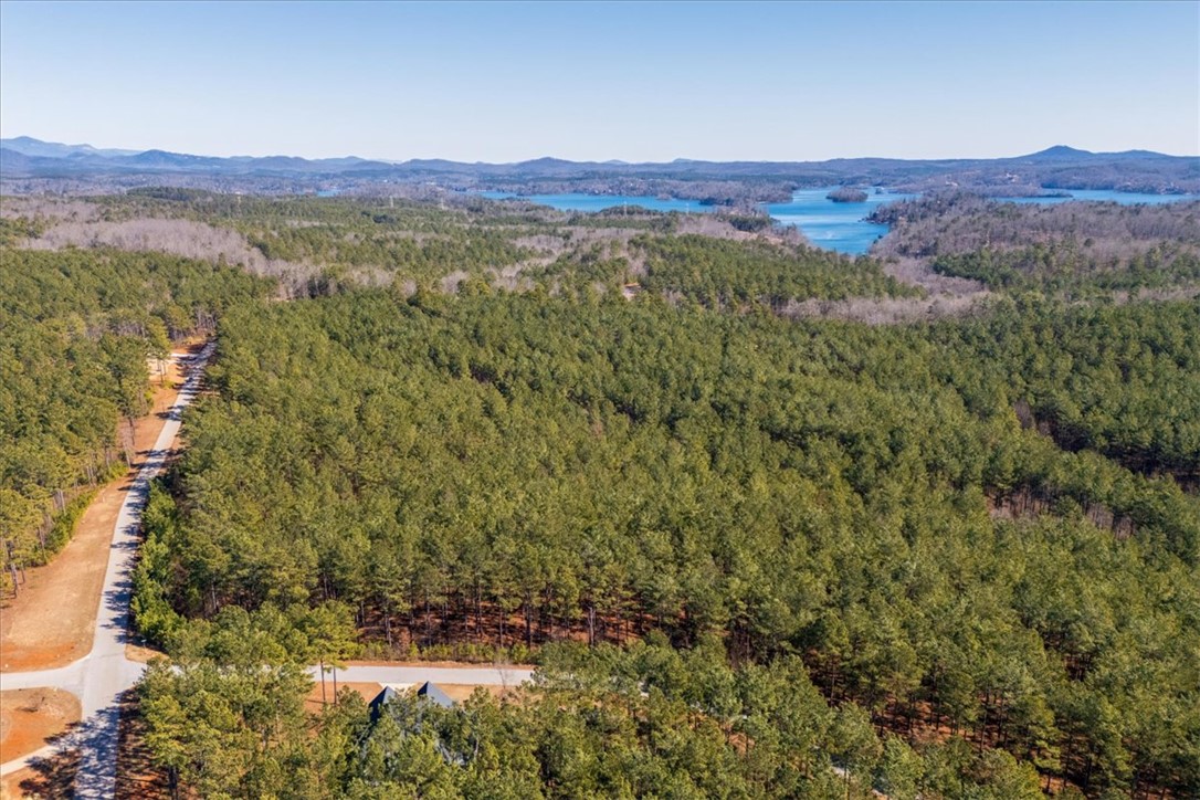 Lot 68 Nimmons Bridge Road Salem, SC 29676 - Photo 15 of 18 This aerial view showcases a vibrant forested landscape with distant lake and mountain views.