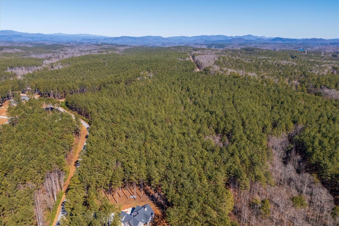 Lot 68 Nimmons Bridge Road Salem, SC 29676 - Photo 16 of 18 This elevated view captures the expansive forested landscape with a distant mountain range.