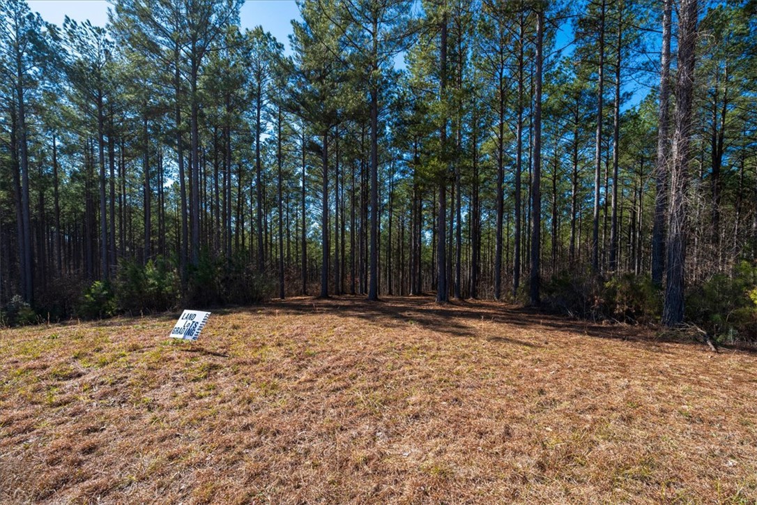 Lot 68 Nimmons Bridge Road Salem, SC 29676 - Photo 3 of 18 Mature trees line the property, creating a natural backdrop for your future home.