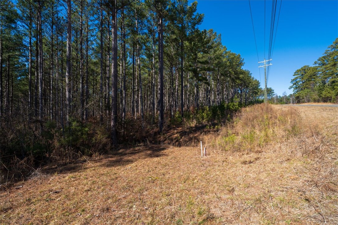 Lot 68 Nimmons Bridge Road Salem, SC 29676 - Photo 4 of 18 This verdant expanse offers a serene landscape, perfect for a private retreat.