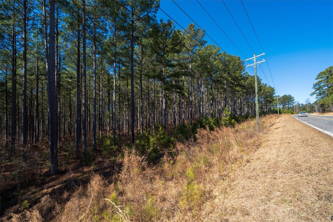 Lot 68 Nimmons Bridge Road Salem, SC 29676 - Photo 5 of 18 This expansive wooded lot offers a tranquil escape, perfect for building a private sanctuary.