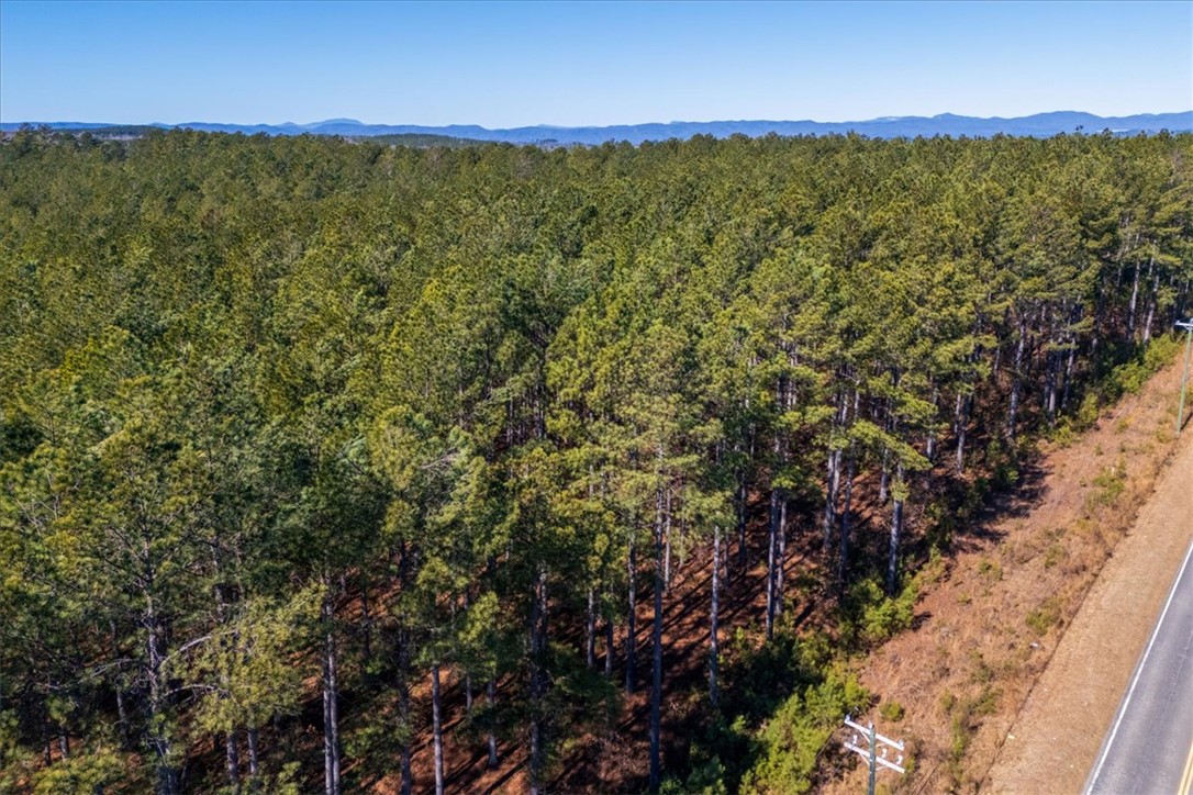 Lot 68 Nimmons Bridge Road Salem, SC 29676 - Photo 7 of 18 Expansive forest views provide a serene backdrop for this private, wooded property.