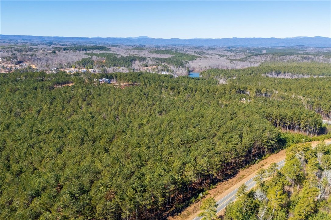 Lot 68 Nimmons Bridge Road Salem, SC 29676 - Photo 8 of 18 Expansive acreage provides diverse opportunities for building amidst serene natural beauty and distant mountain views.