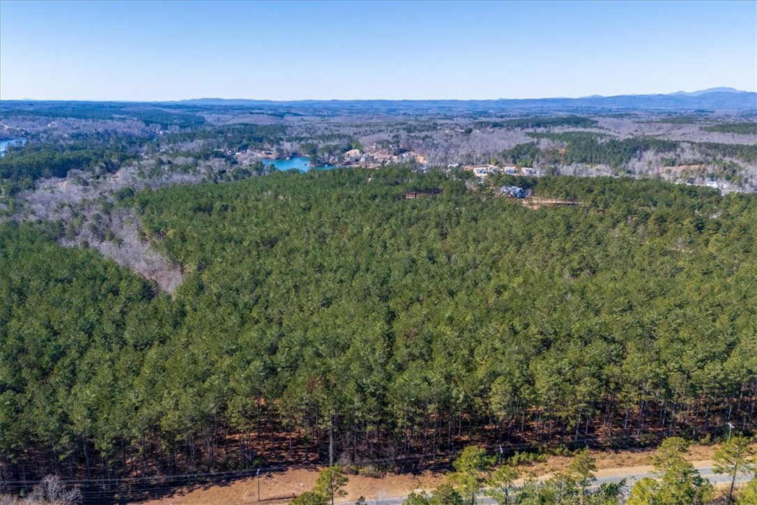 Lot 68 Nimmons Bridge Road Salem, SC 29676 - Photo 9 of 18 Expansive acreage provides a verdant backdrop, perfect for creating a secluded haven.