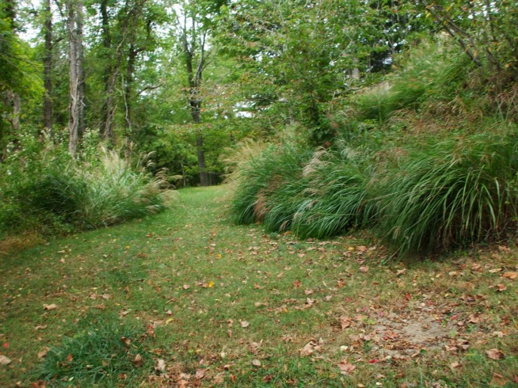 3401 Rockhouse Road Coeburn, VA 24230 - Photo 6 of 18 Photo 6