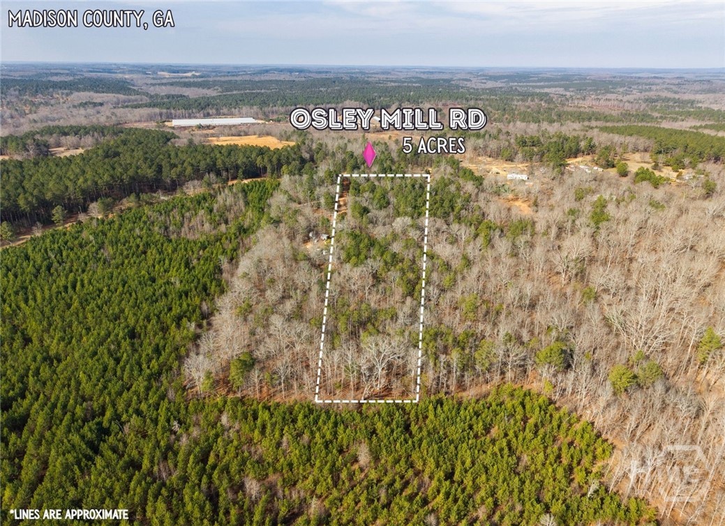 2224 Osley Mill Road Comer, GA 30629 - Photo 4 of 10