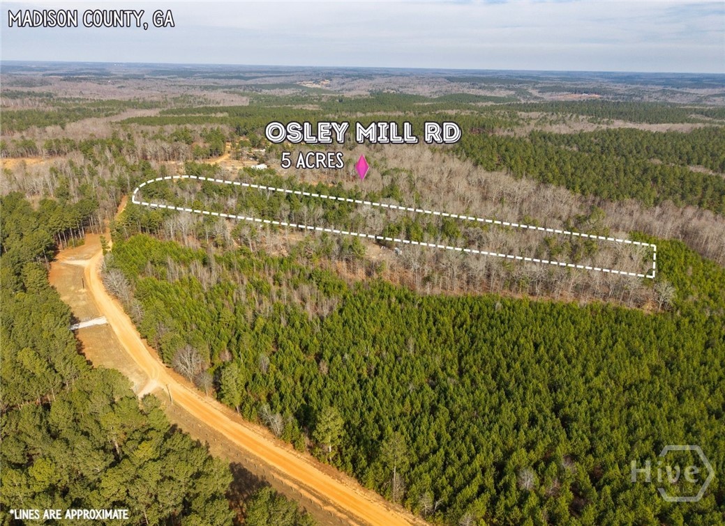 2224 Osley Mill Road Comer, GA 30629 - Photo 6 of 10
