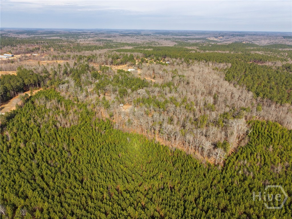 2224 Osley Mill Road Comer, GA 30629 - Photo 8 of 10