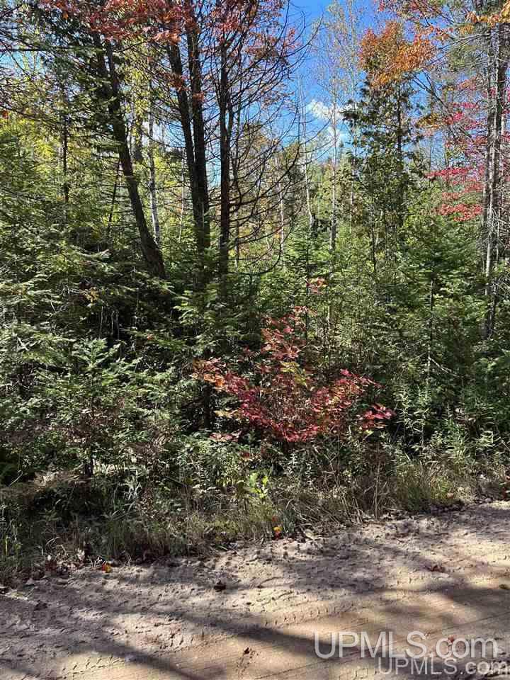 4091 Hiawatha Station Road Manistique, MI 49854 - Photo 21 of 24