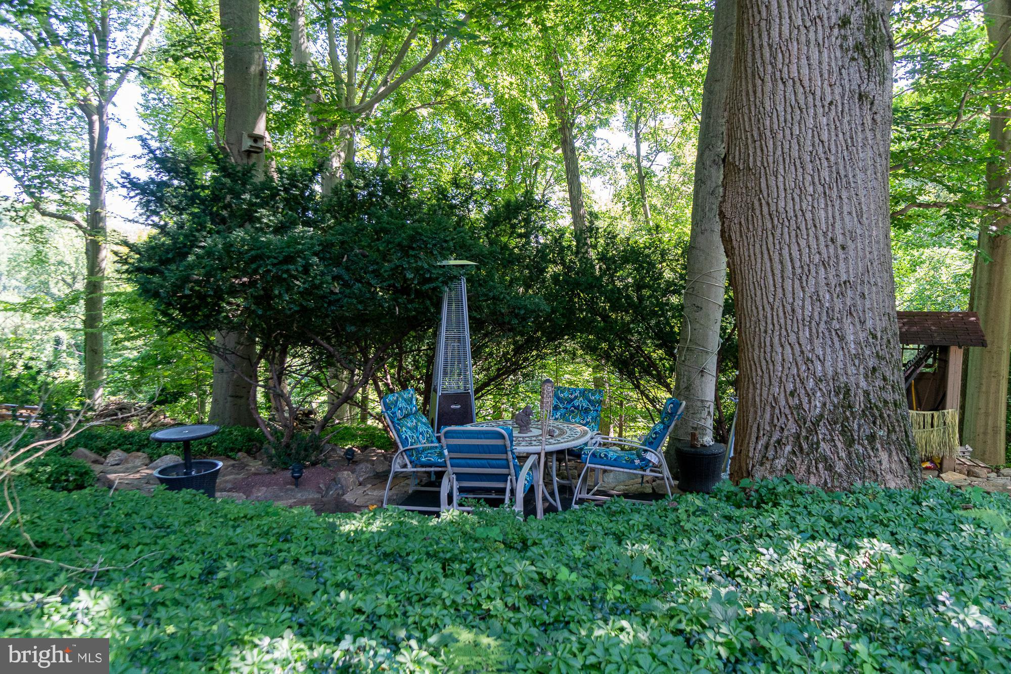 1227 Ridge Road Feasterville-Trevose, PA 19053 - Photo 16 of 19 Gallery Image 16