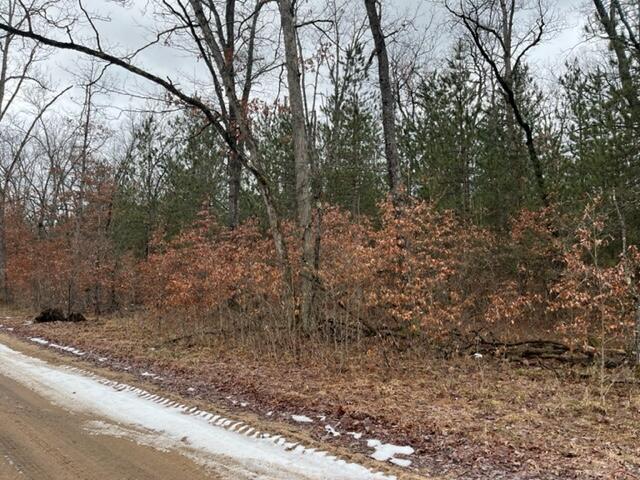 5196 West Rd Baldwin Mi 49304 Road Irons, MI 49644 - Photo 2 of 18 IMG_0074