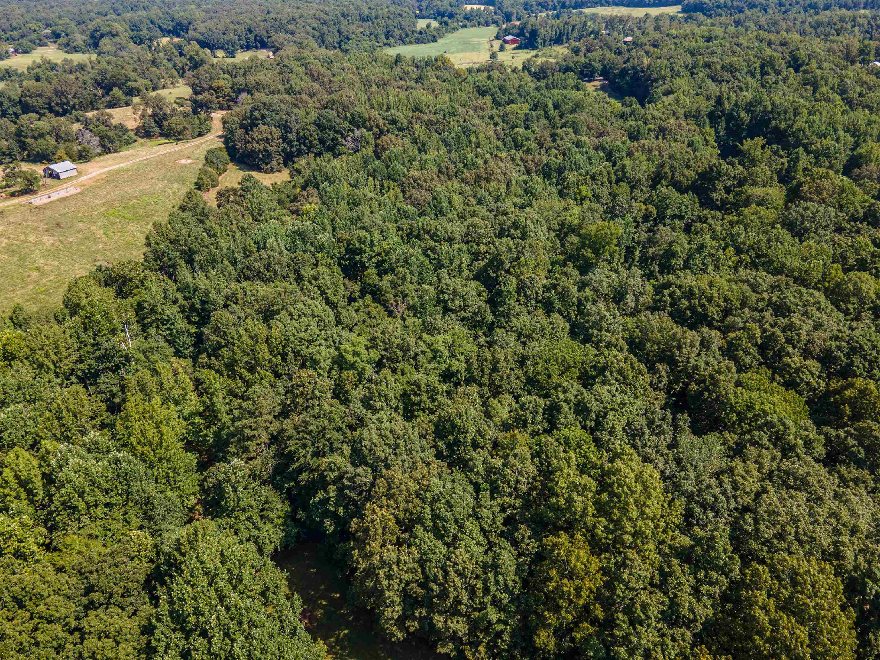Country Club Road Somerville, TN 38068 - Photo 7 of 22 Drone / aerial view of a forest