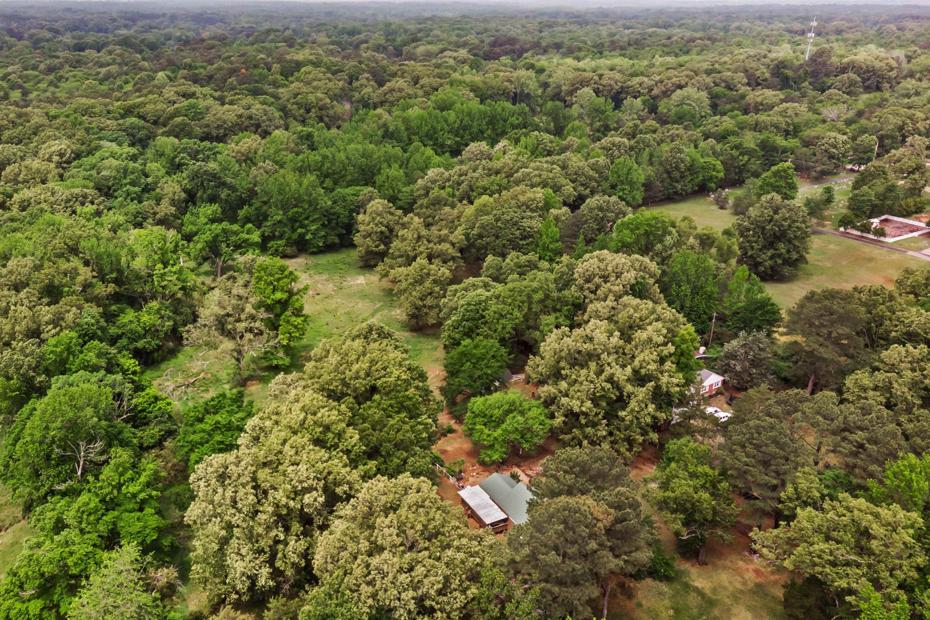 1147 North Collierville Arlington Road Collierville, TN 38017 - Photo 2 of 17 Expansive wooded property featuring mature trees and scattered clearings
